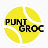 Punt Groc